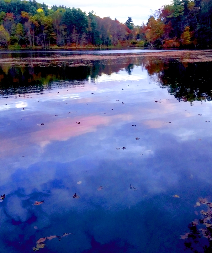 Puffer's Pond in Amherst, Ma